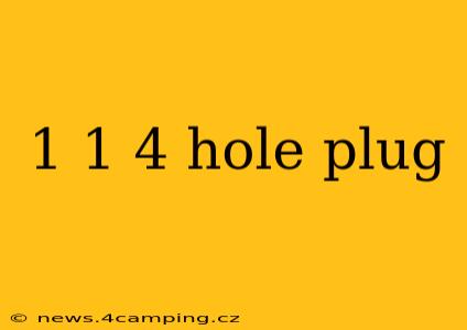 1 1 4 hole plug