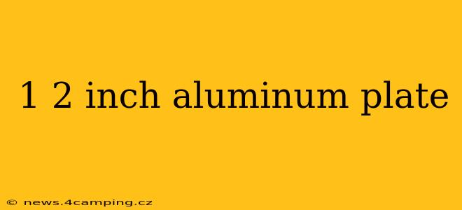 1 2 inch aluminum plate