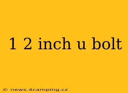 1 2 inch u bolt