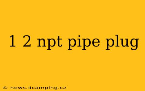 1 2 npt pipe plug