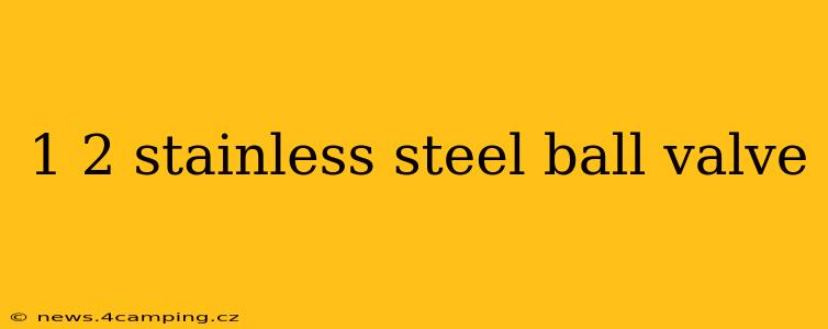 1 2 stainless steel ball valve