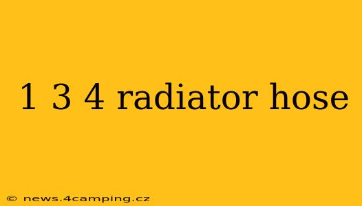1 3 4 radiator hose