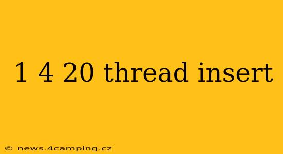 1 4 20 thread insert