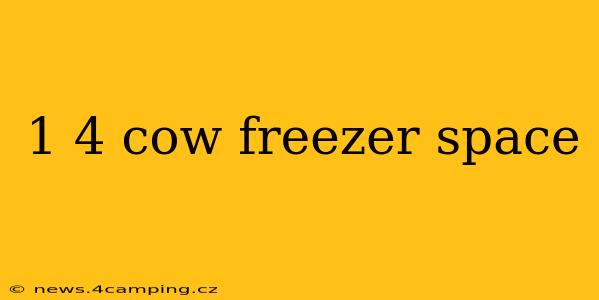 1 4 cow freezer space