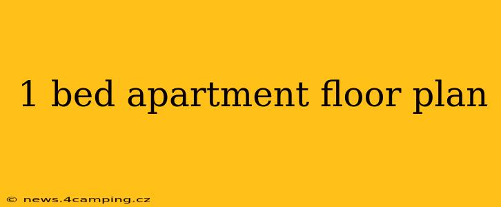 1 bed apartment floor plan