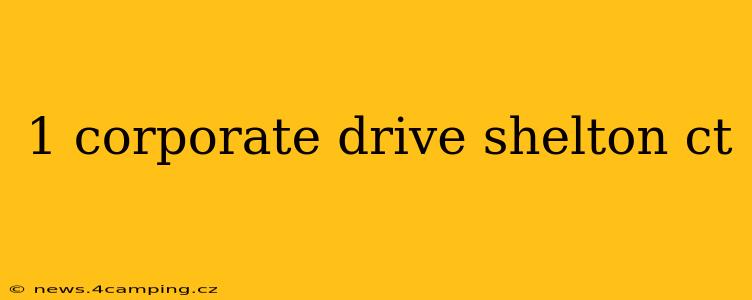 1 corporate drive shelton ct