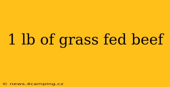 1 lb of grass fed beef