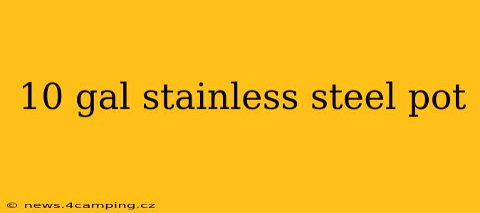 10 gal stainless steel pot