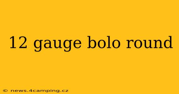 12 gauge bolo round