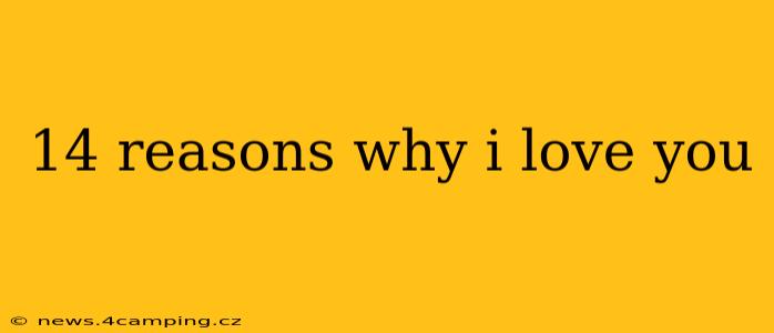 14 reasons why i love you