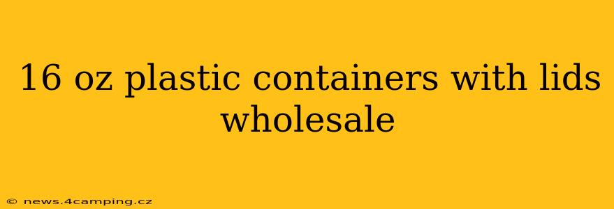 16 oz plastic containers with lids wholesale