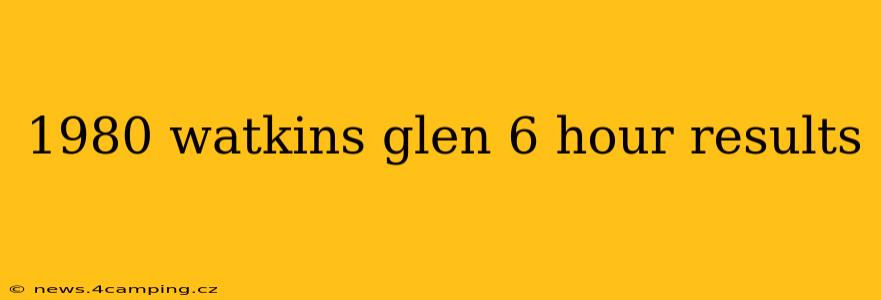 1980 watkins glen 6 hour results