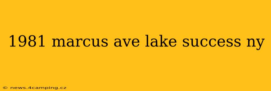 1981 marcus ave lake success ny