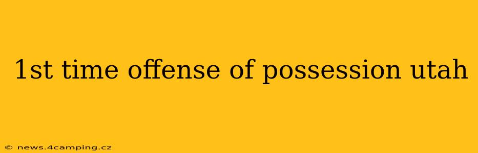 1st time offense of possession utah