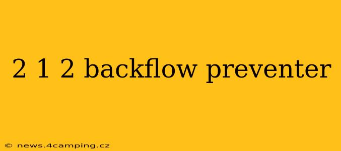 2 1 2 backflow preventer