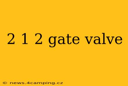 2 1 2 gate valve