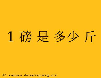 1 磅 是 多少 斤