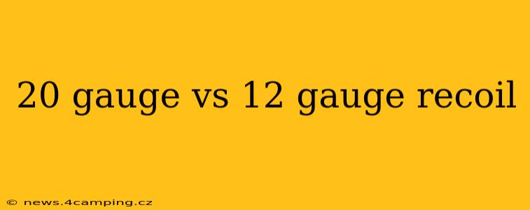 20 gauge vs 12 gauge recoil