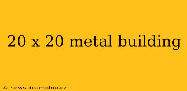 20 x 20 metal building