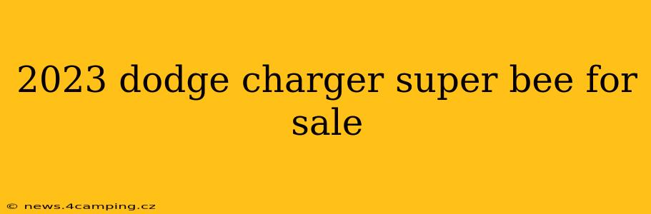 2023 dodge charger super bee for sale
