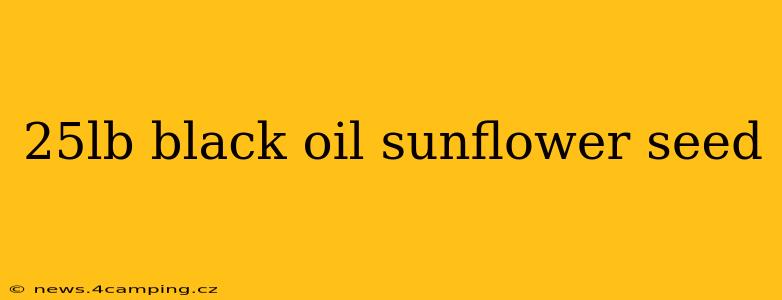 25lb black oil sunflower seed