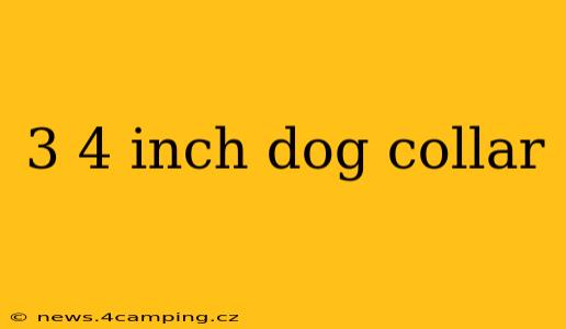 3 4 inch dog collar