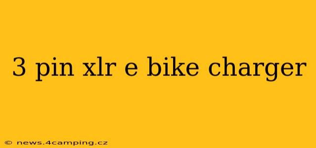 3 pin xlr e bike charger