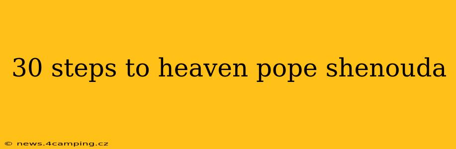 30 steps to heaven pope shenouda