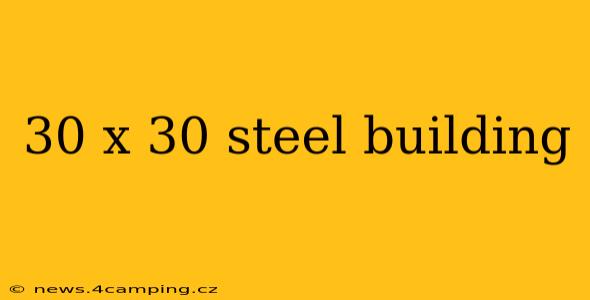 30 x 30 steel building