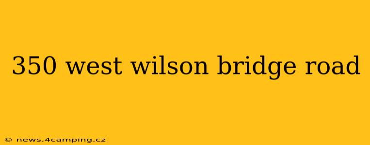 350 west wilson bridge road
