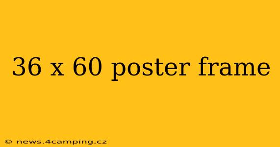 36 x 60 poster frame