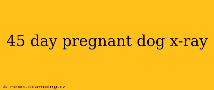 45 day pregnant dog x-ray