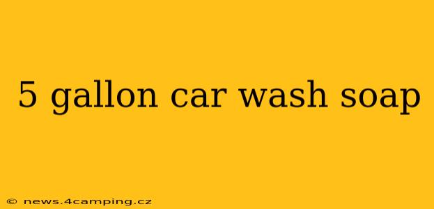 5 gallon car wash soap