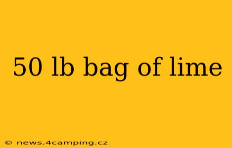50 lb bag of lime
