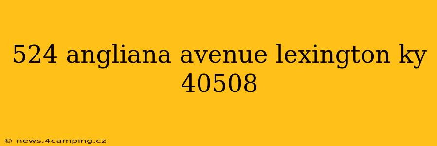 524 angliana avenue lexington ky 40508