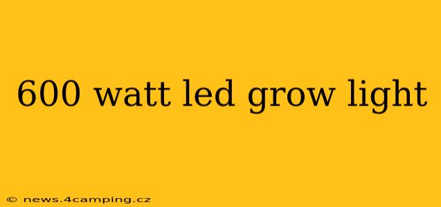 600 watt led grow light