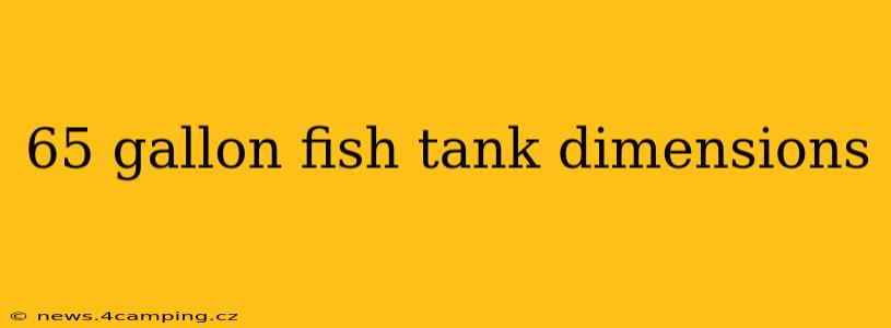 65 gallon fish tank dimensions