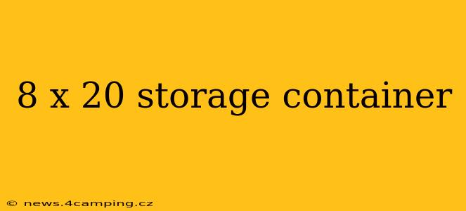 8 x 20 storage container