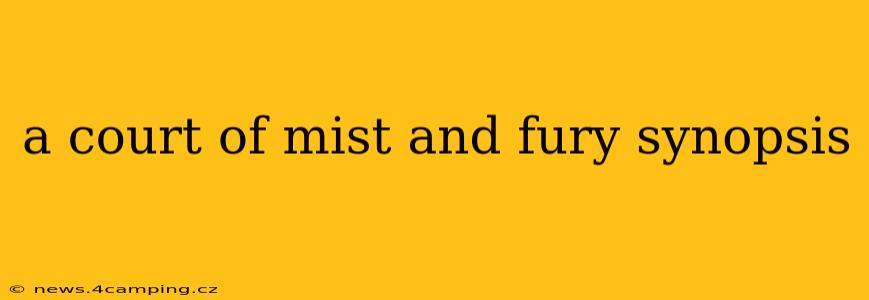 a court of mist and fury synopsis