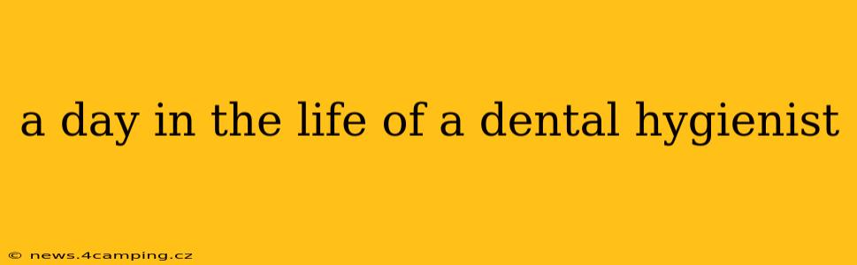 a day in the life of a dental hygienist
