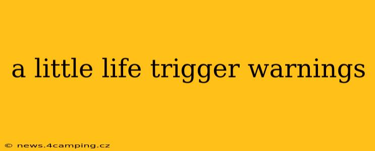 a little life trigger warnings