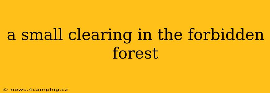 a small clearing in the forbidden forest
