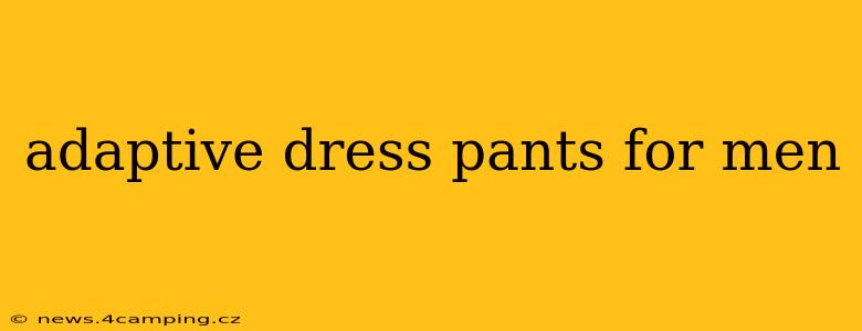 adaptive dress pants for men