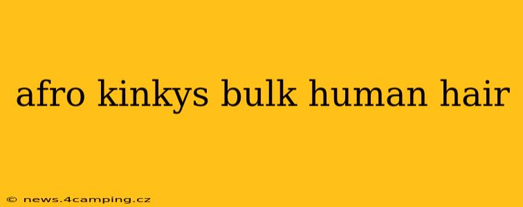 afro kinkys bulk human hair