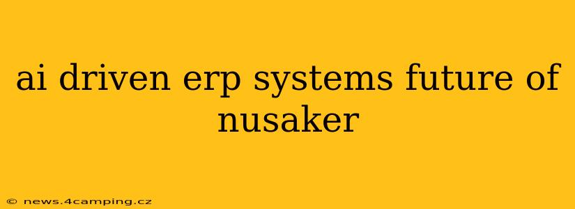 ai driven erp systems future of nusaker