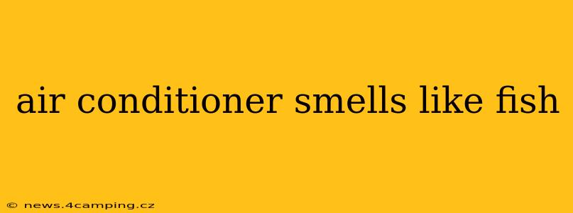air conditioner smells like fish