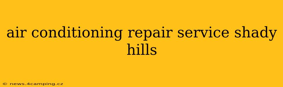 air conditioning repair service shady hills