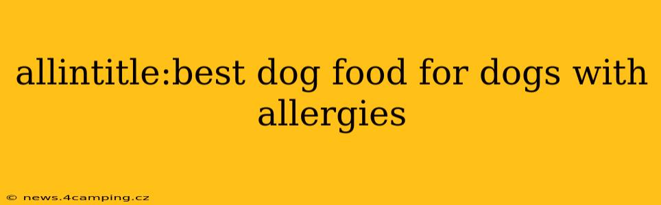 allintitle:best dog food for dogs with allergies