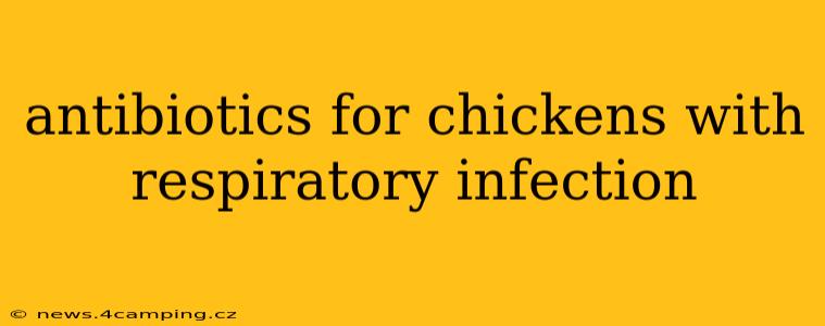 antibiotics for chickens with respiratory infection