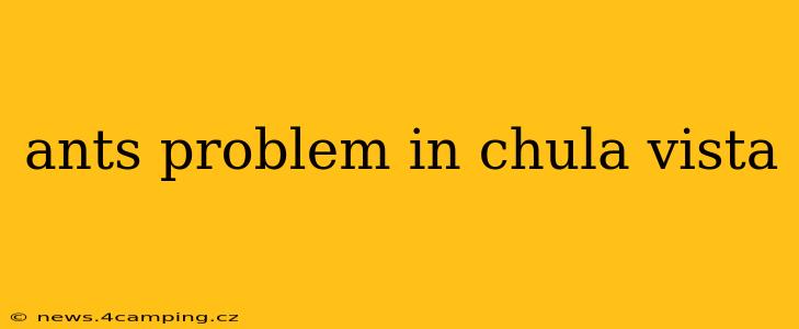 ants problem in chula vista